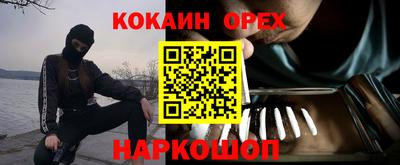 гидропоника Сланцы