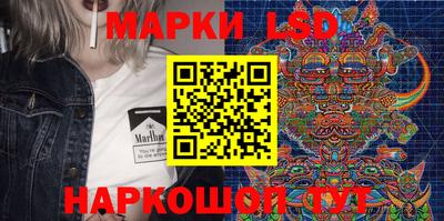 гидропоника Сланцы