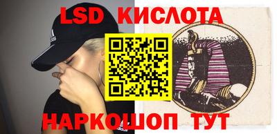 гидропоника Сланцы