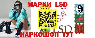 гидропоника Сланцы