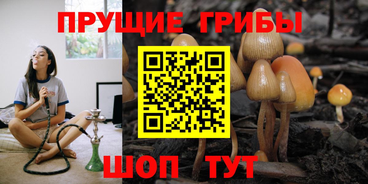 Галлюциногенные грибы GOLDEN TEACHER  Вход с VPN  Азнакаево 