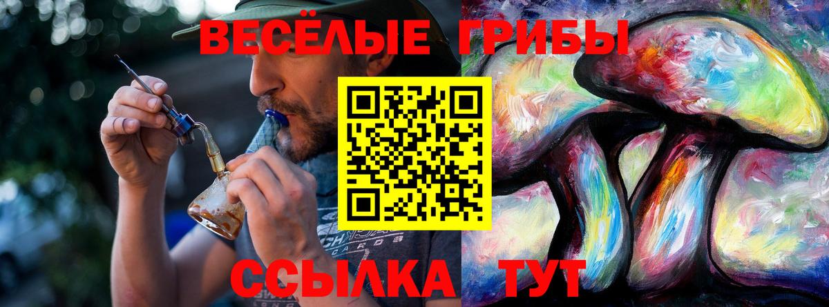 Галлюциногенные грибы прущие грибы Азнакаево